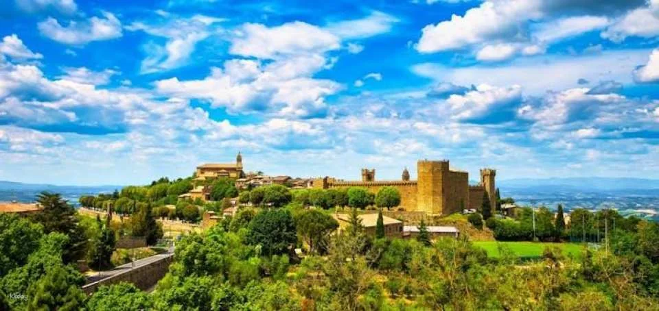 Brunello half-day wine tour from Siena