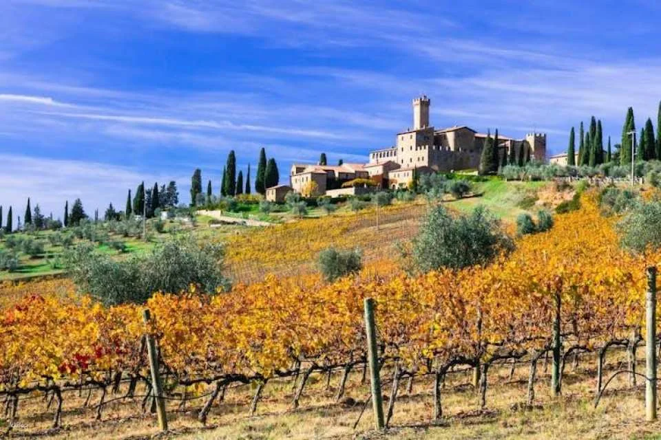 Brunello half-day wine tour from Siena