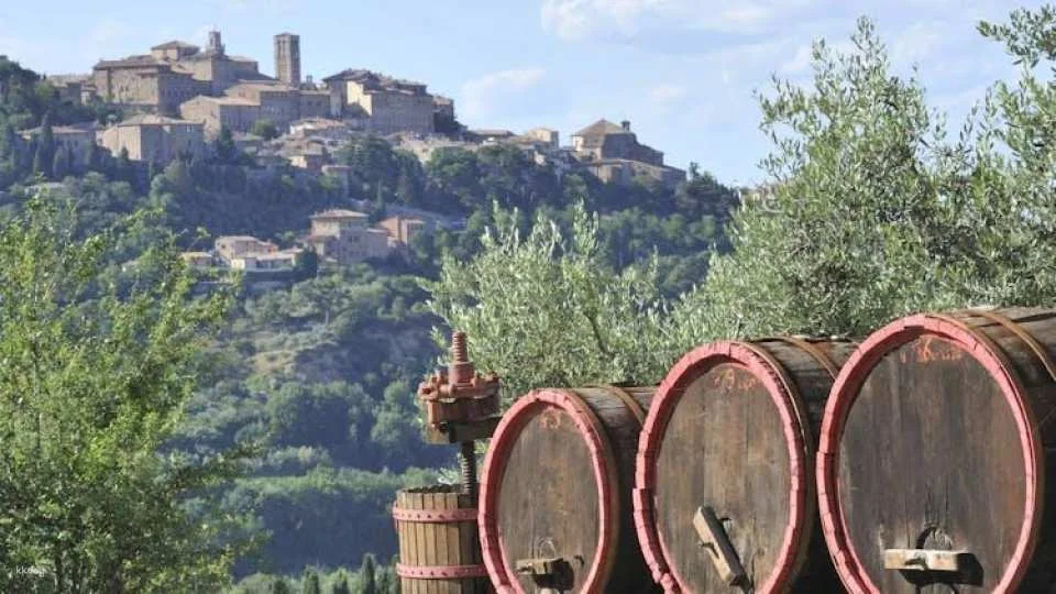 Brunello half-day wine tour from Siena