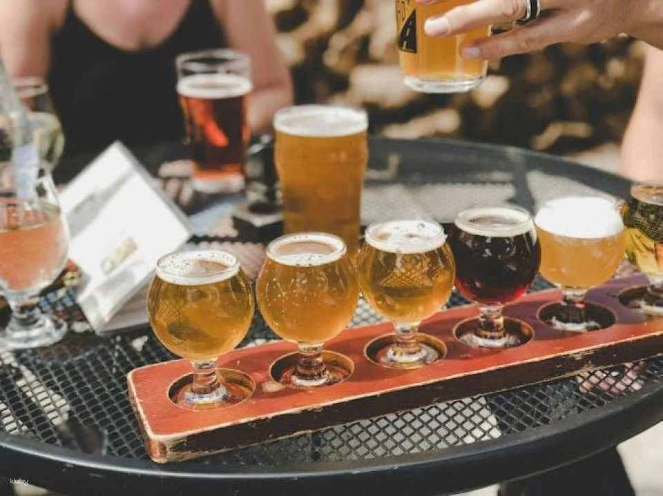 Ghent walking tour with optional boat trip and-or beer tasting