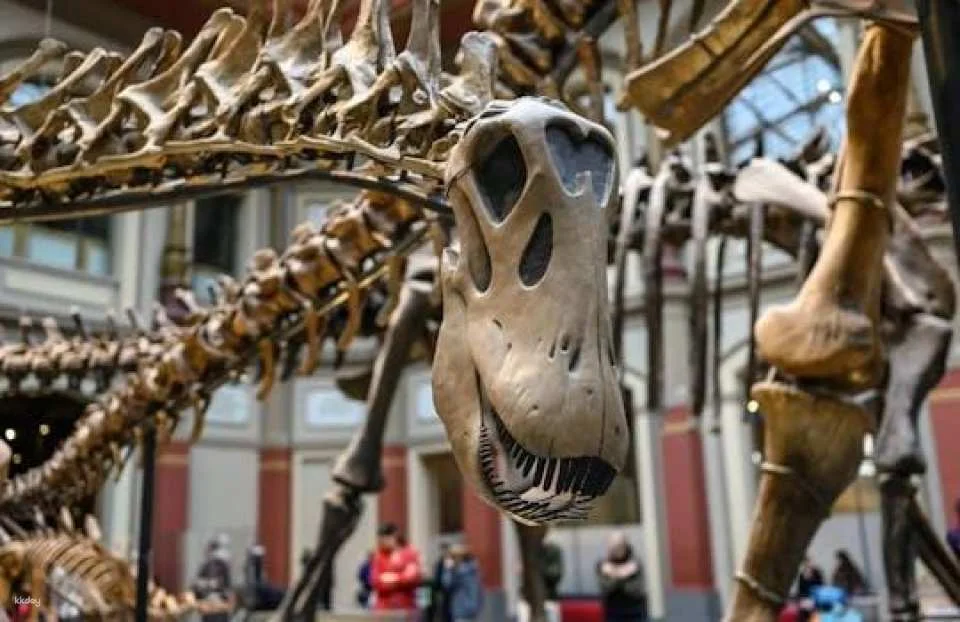 Berlin Natural History Museum in-app audio tour (606720)