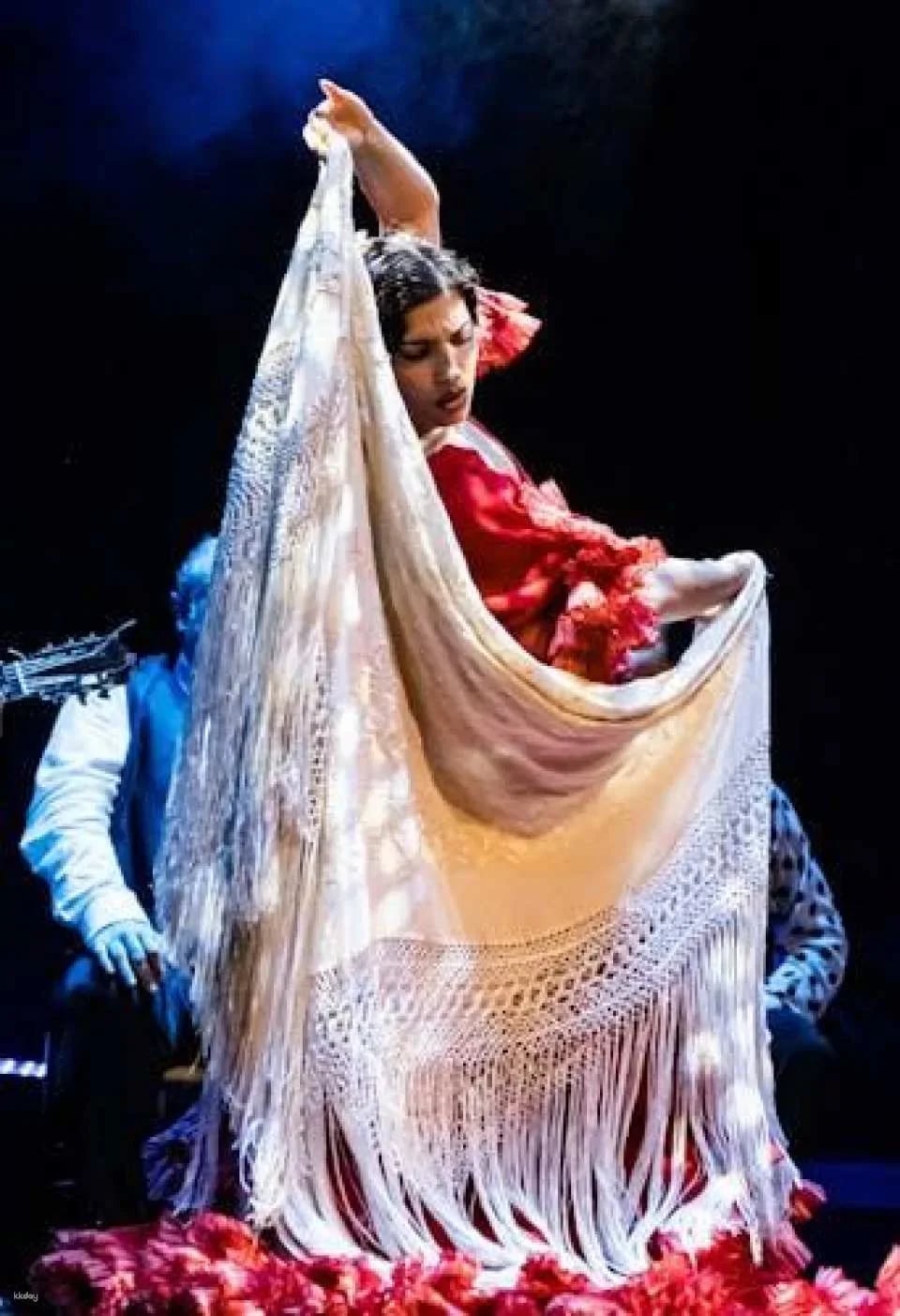 The premium experience at Teatro Flamenco Granada