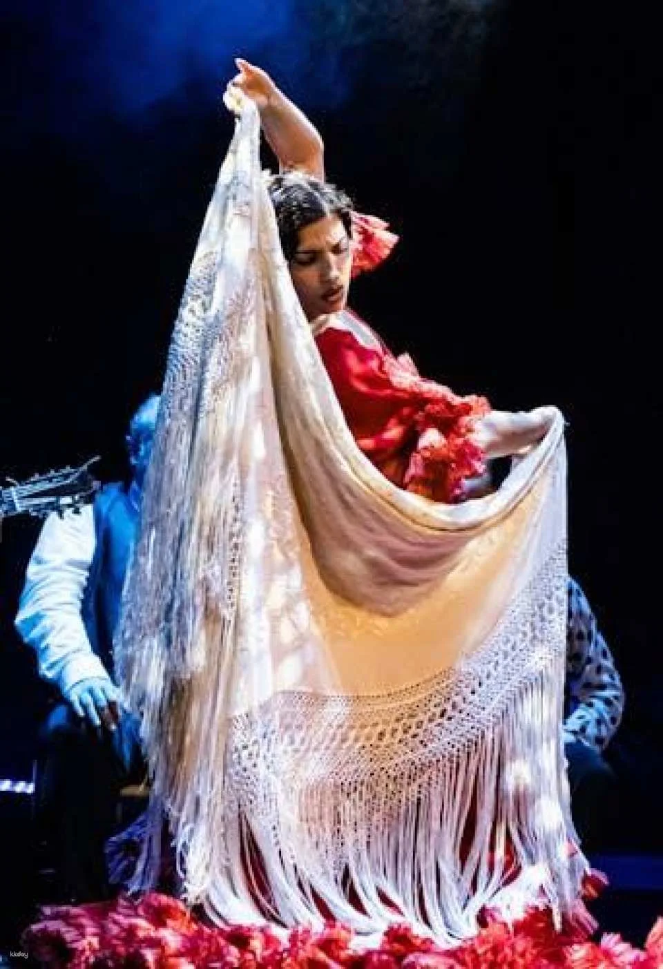 The premium experience at Teatro Flamenco Granada