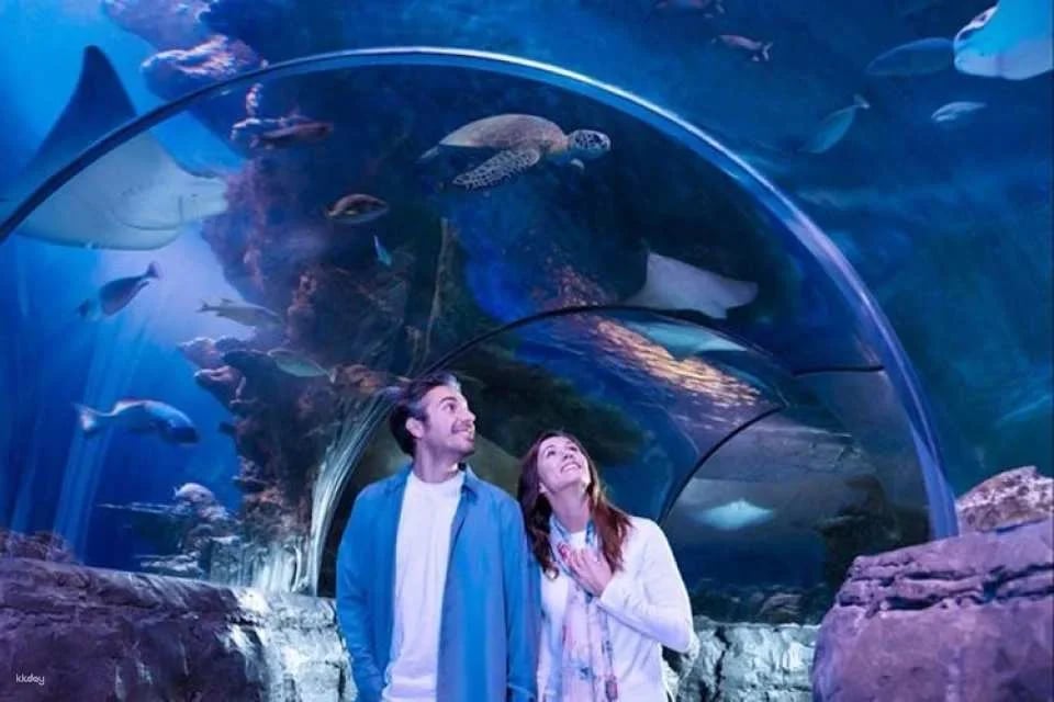 London Flex Pass for 2–7 attractions
