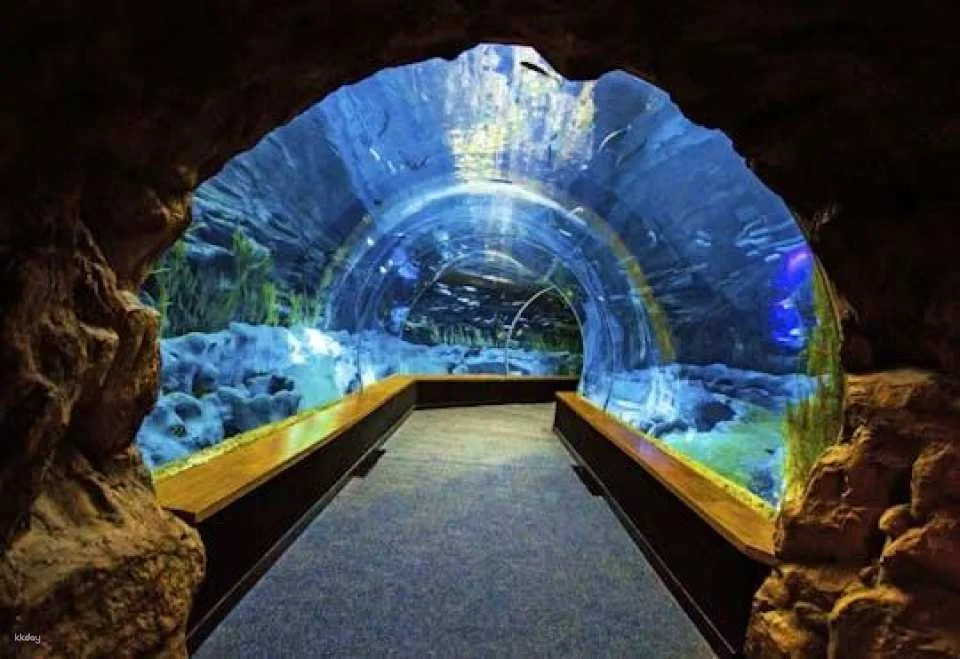 Poema del Mar Aquarium skip-the-line tickets