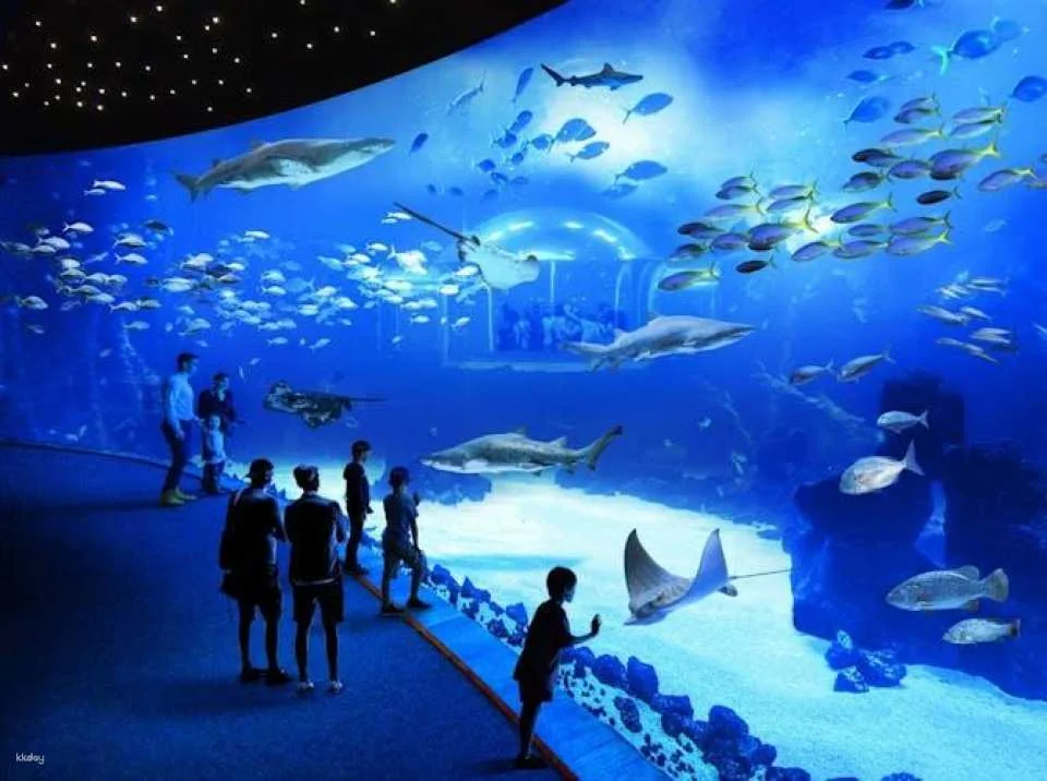 Poema del Mar Aquarium skip-the-line tickets