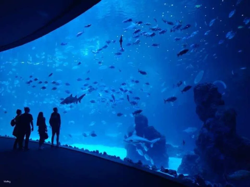 Poema del Mar Aquarium skip-the-line tickets