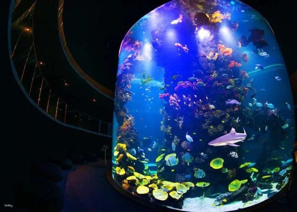 Poema del Mar Aquarium skip-the-line tickets
