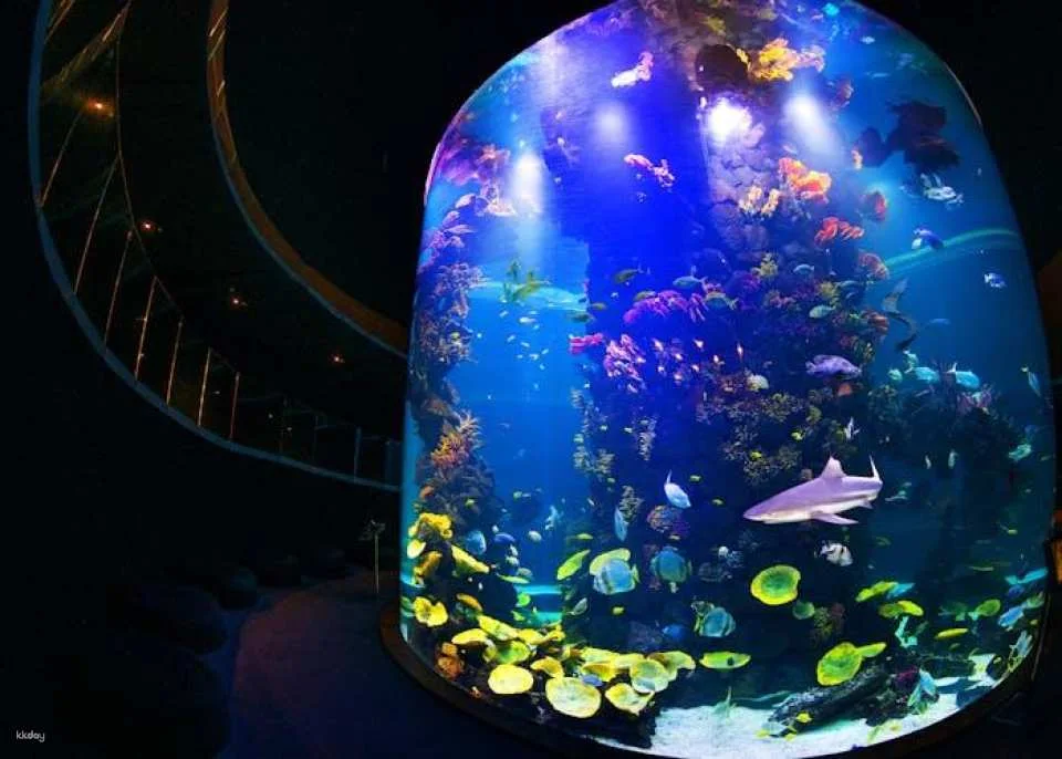 Poema del Mar Aquarium skip-the-line tickets