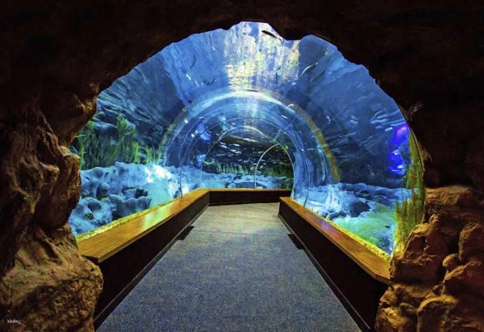 Poema del Mar Aquarium skip-the-line tickets