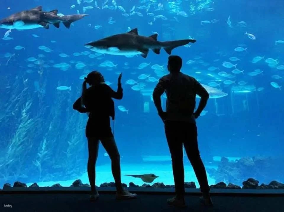 Poema del Mar Aquarium skip-the-line tickets