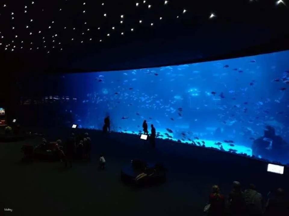 Poema del Mar Aquarium skip-the-line tickets