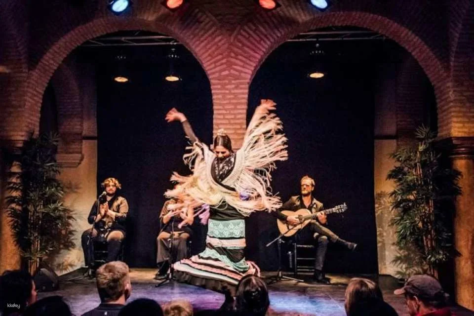 Live flamenco show and entrance tickets to Seville Flamenco Dance Museum