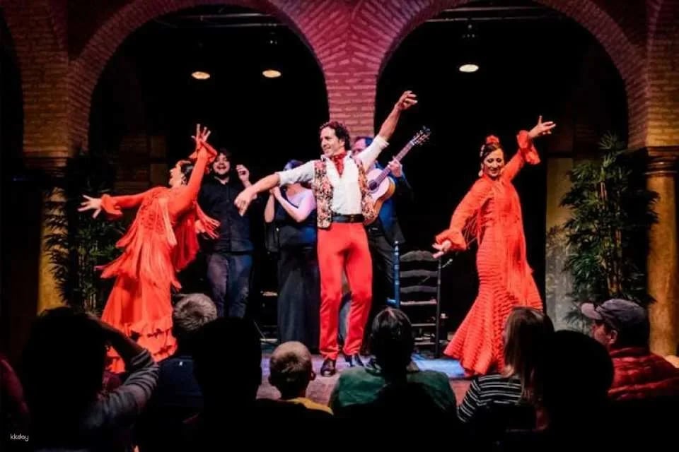 Live flamenco show and entrance tickets to Seville Flamenco Dance Museum