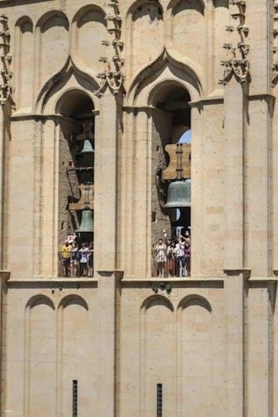 Guided tour to the tower with entrance ticket to Cathedral of Segovia