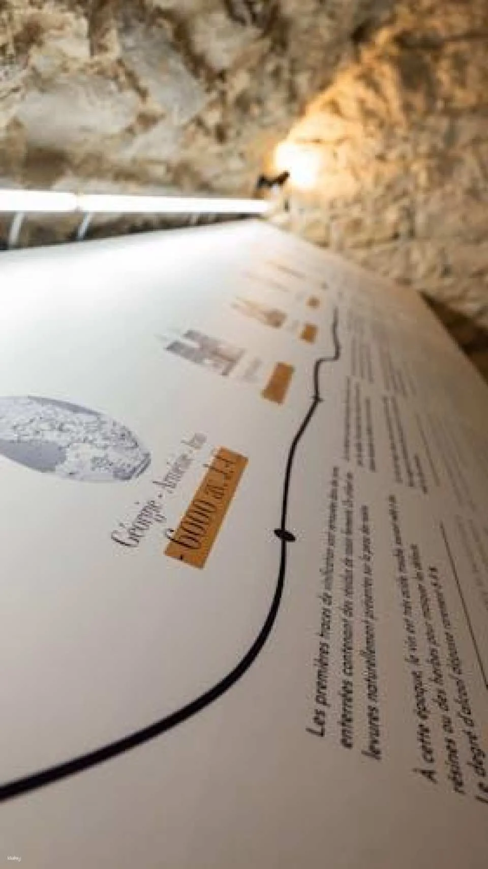 Le Petit Musée du Vin ticket with wine tasting in Lyon