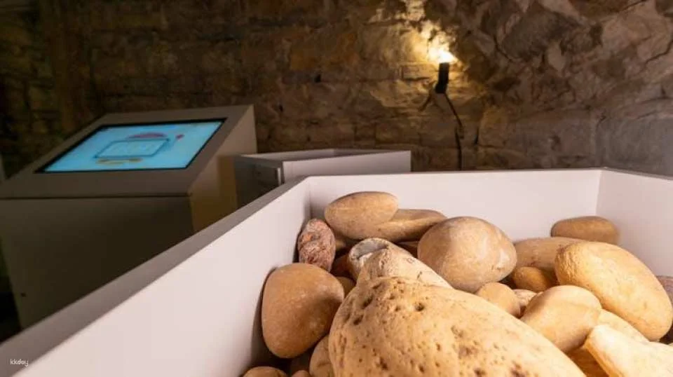 Le Petit Musée du Vin ticket with wine tasting in Lyon