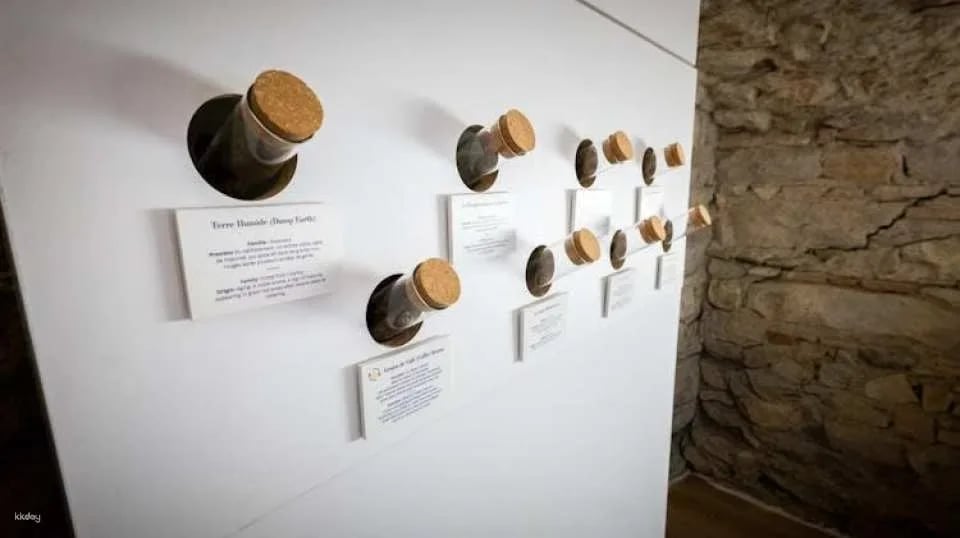 Le Petit Musée du Vin ticket with wine tasting in Lyon