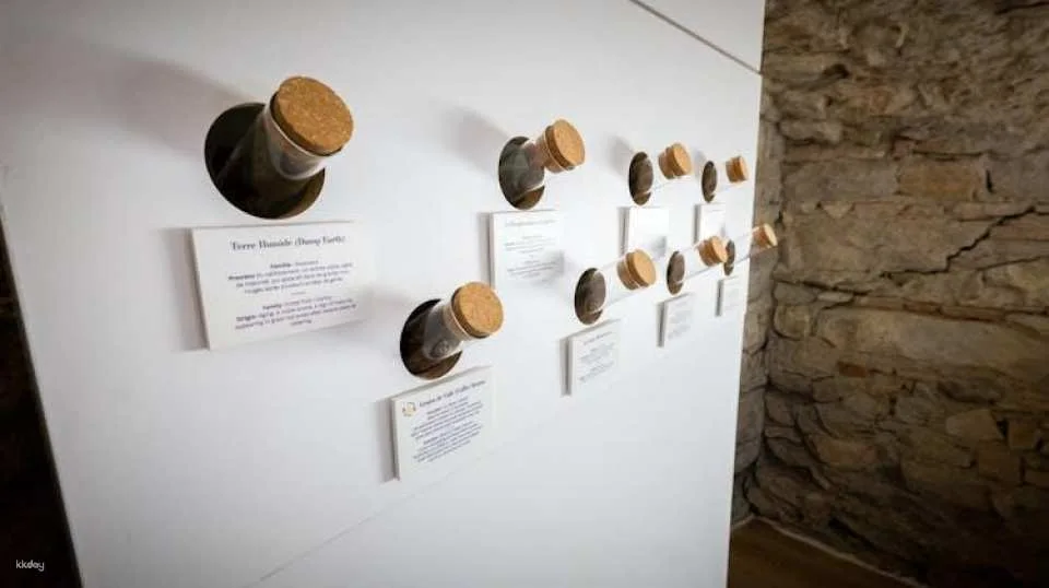 Le Petit Musée du Vin ticket with wine tasting in Lyon