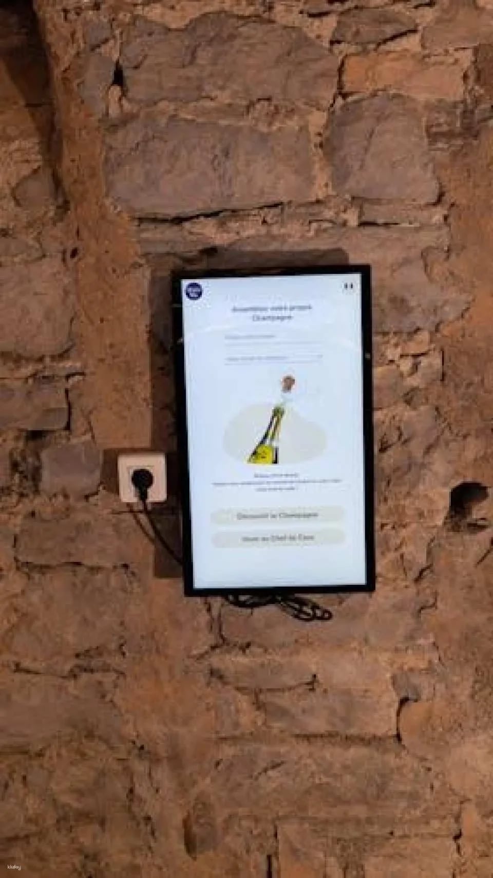 Le Petit Musée du Vin ticket with wine tasting in Lyon