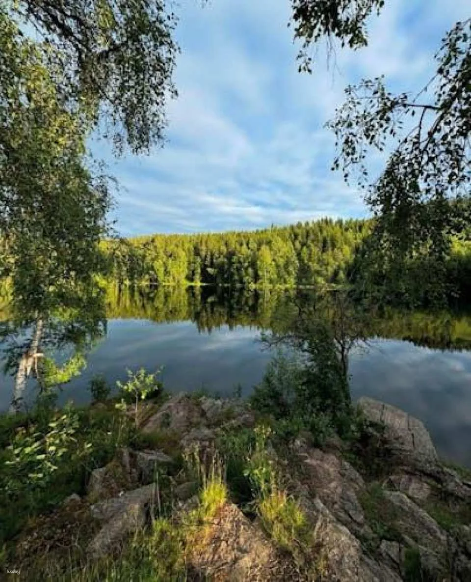 Frognerseteren and Tryvannsstua private tour from Oslo