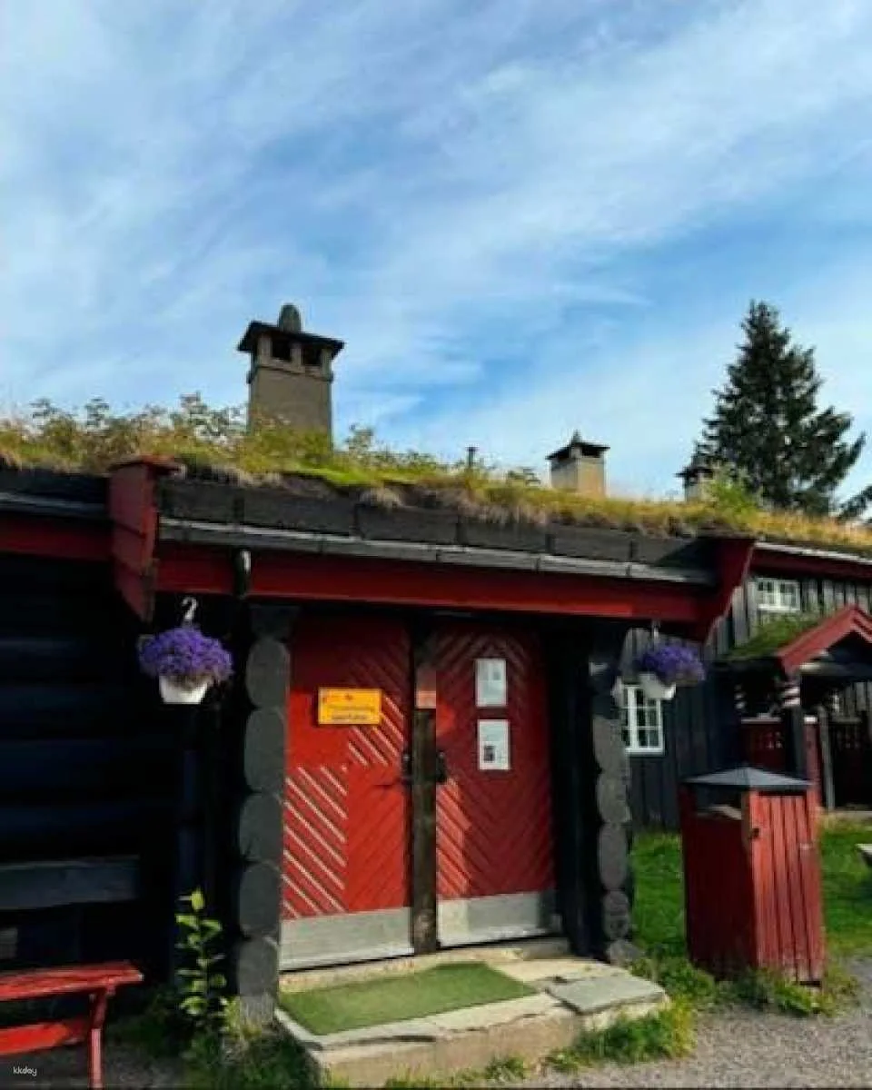 Frognerseteren and Tryvannsstua private tour from Oslo