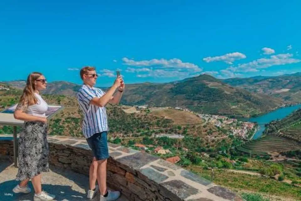 Douro half-day tour with wine, boat trip and viewpoint