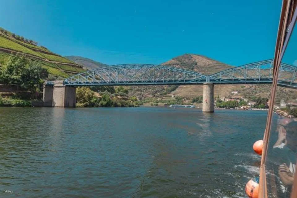 Douro half-day tour with wine, boat trip and viewpoint
