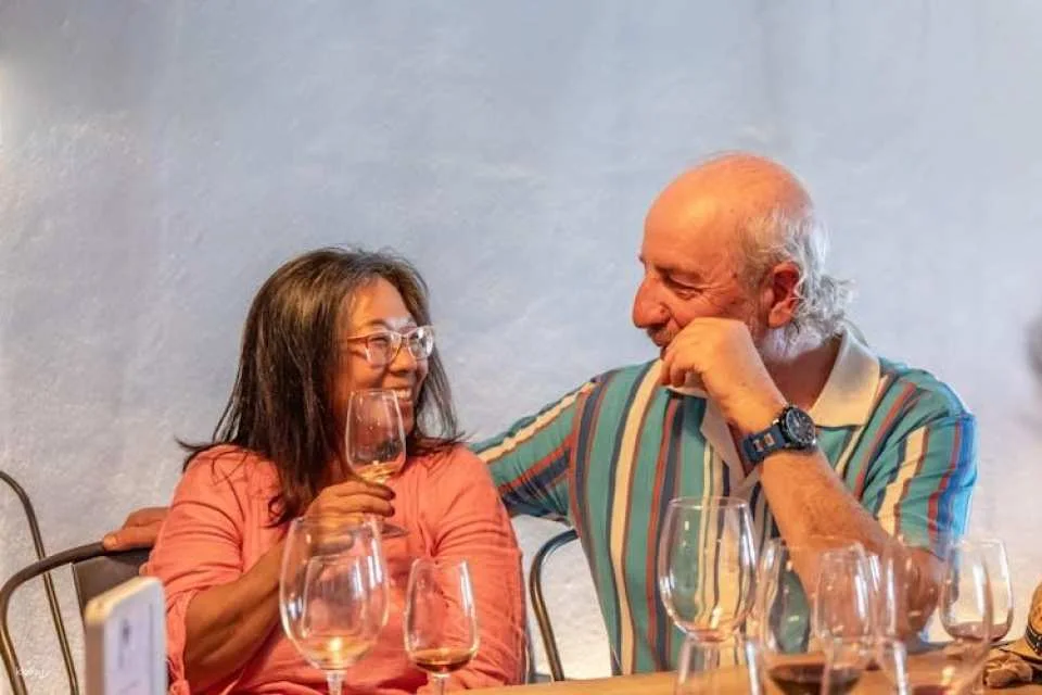 Douro half-day tour with wine, boat trip and viewpoint
