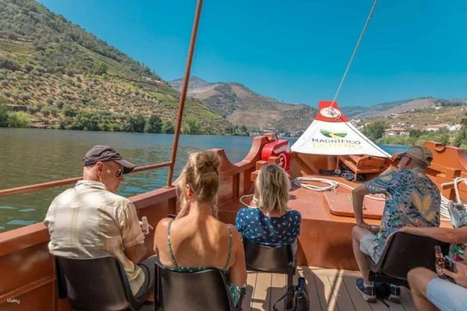 Douro half-day tour with wine, boat trip and viewpoint