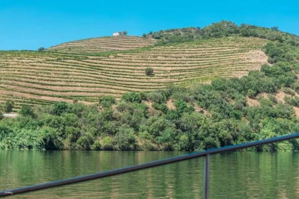 Douro half-day tour with wine, boat trip and viewpoint