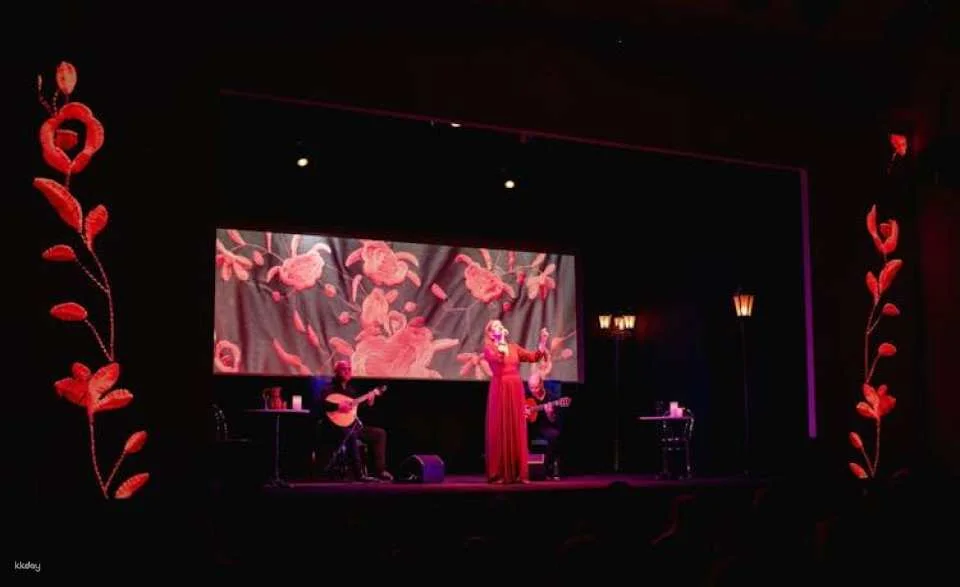 Entrance tickets for Fado in Chiado Live show in Lisbon