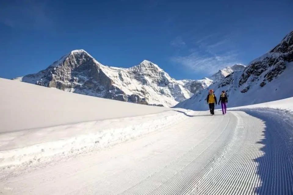 Sledging and Hiking Jungfrau Winter Travel Pass