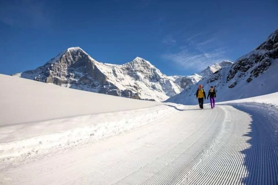Sledging and Hiking Jungfrau Winter Travel Pass