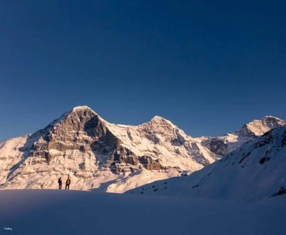 Sledging and Hiking Jungfrau Winter Travel Pass