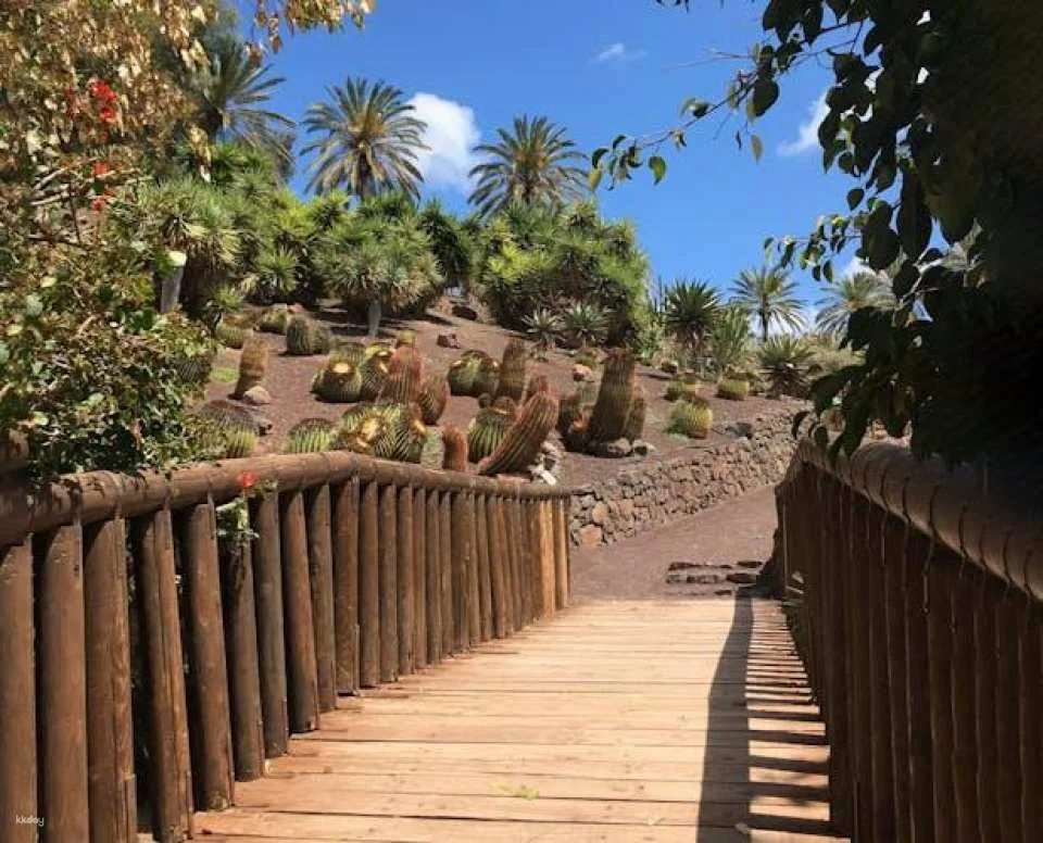 Oasis Wildlife Fuerteventura ticket including camels encounter
