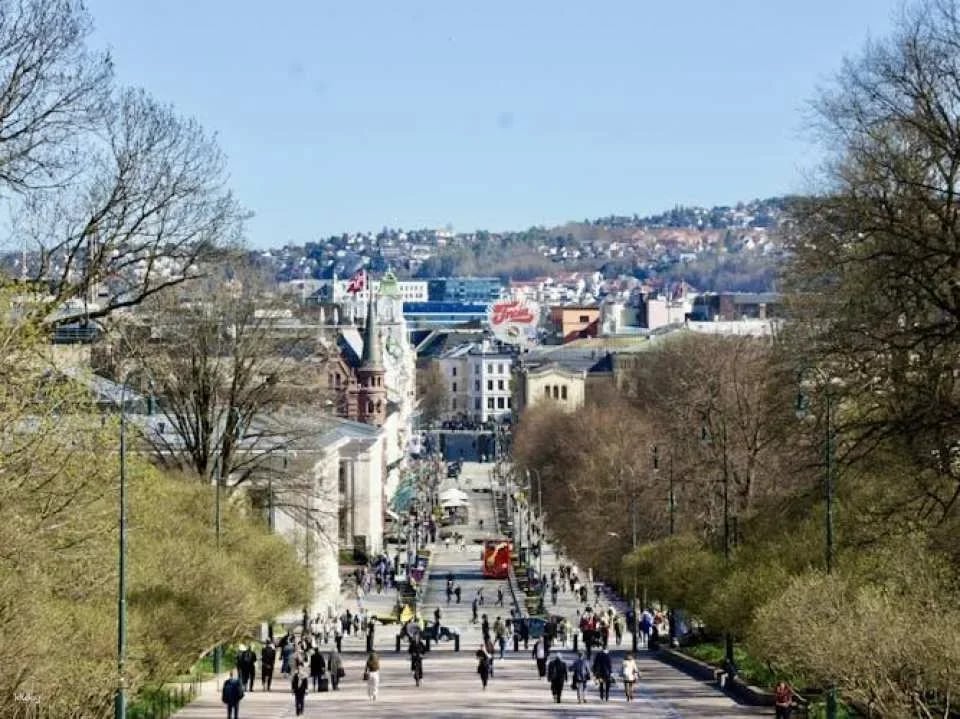 From fjord to palace guided tour in Oslo