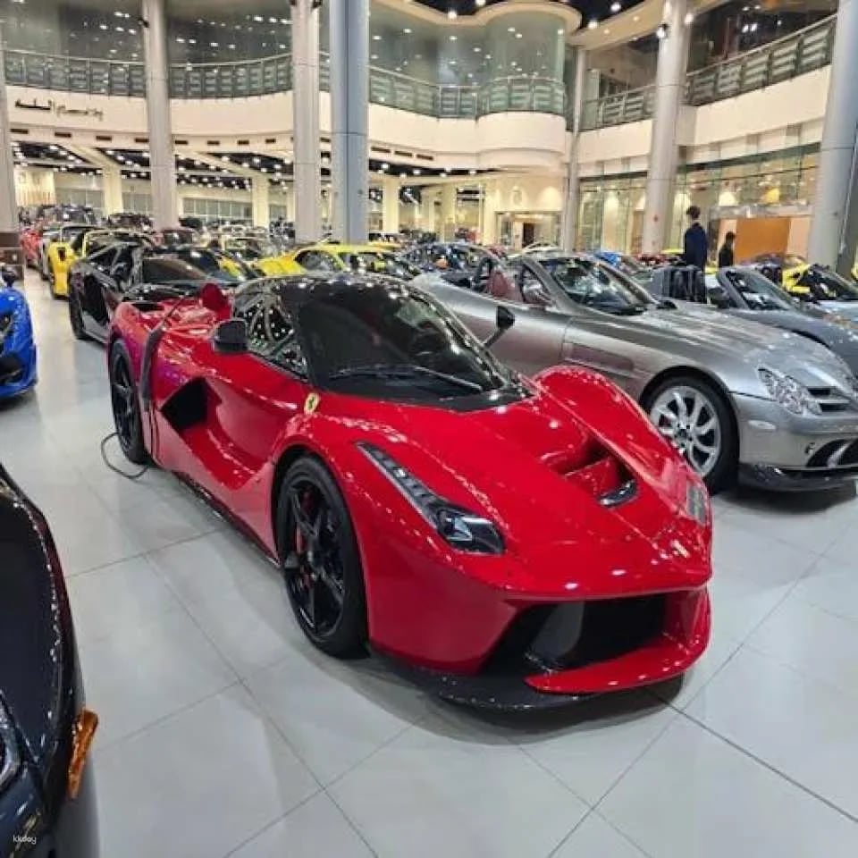 Dubai luxury car showroom tour with drop off at Dubai Mall