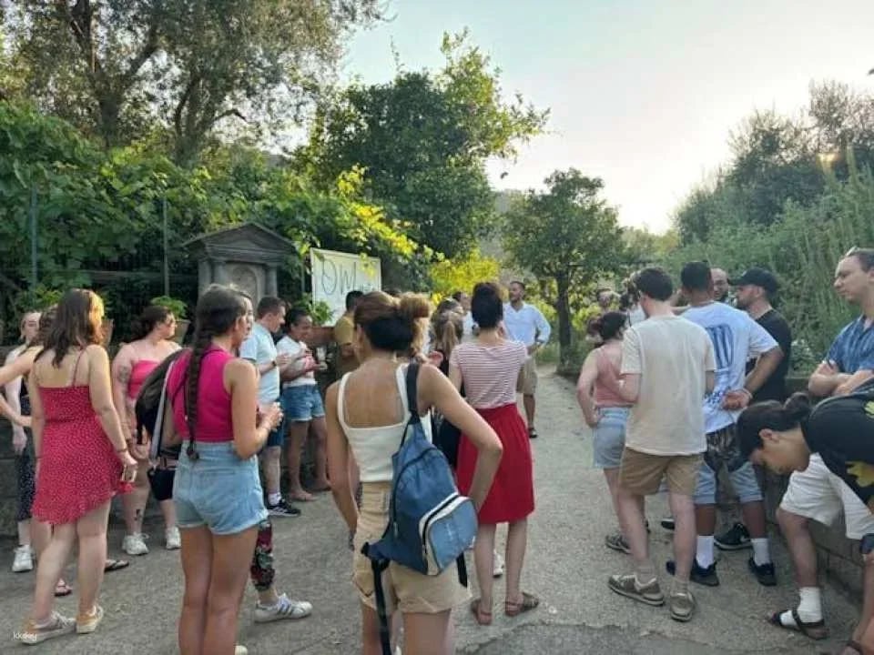 Hands-on Italian pizza making class in Sorrento garden