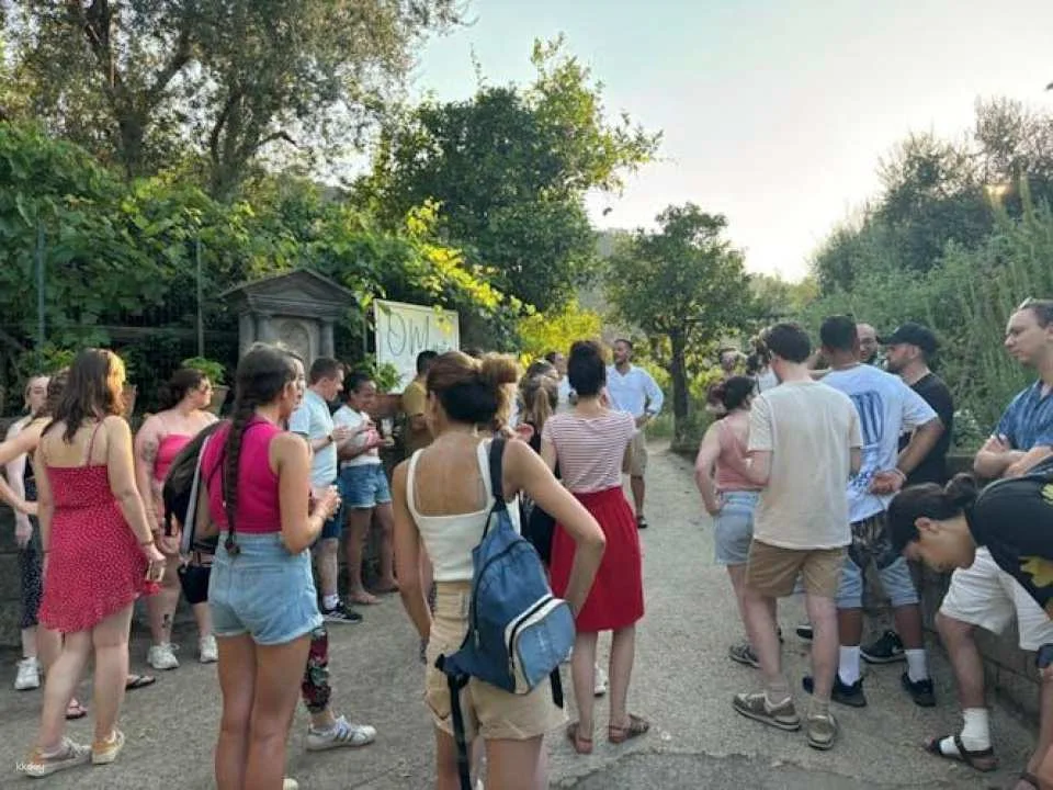 Hands-on Italian pizza making class in Sorrento garden