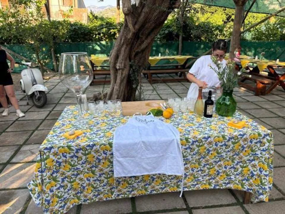 Hands-on Italian pizza making class in Sorrento garden