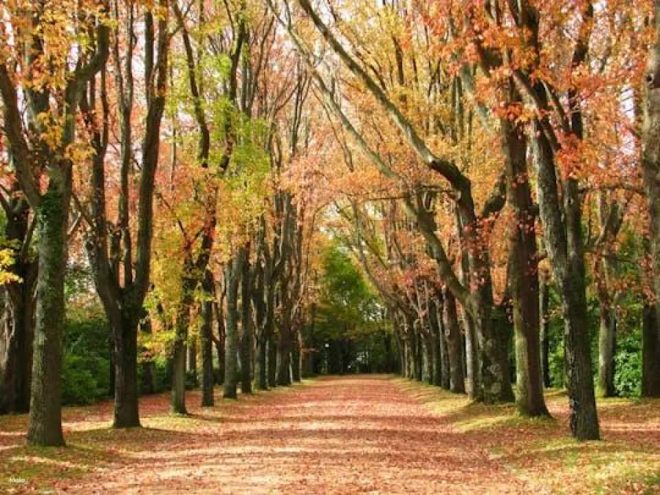 Entrance tickets to Serralves Park in Porto