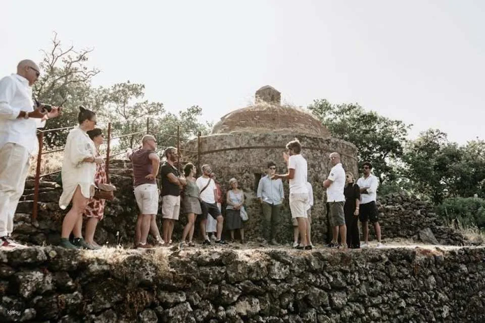 Sunset vineyard walk and gourmet wine pairing dinner in Sicily