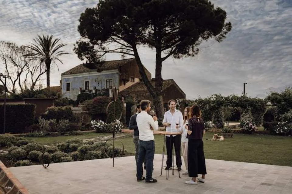 Sunset vineyard walk and gourmet wine pairing dinner in Sicily