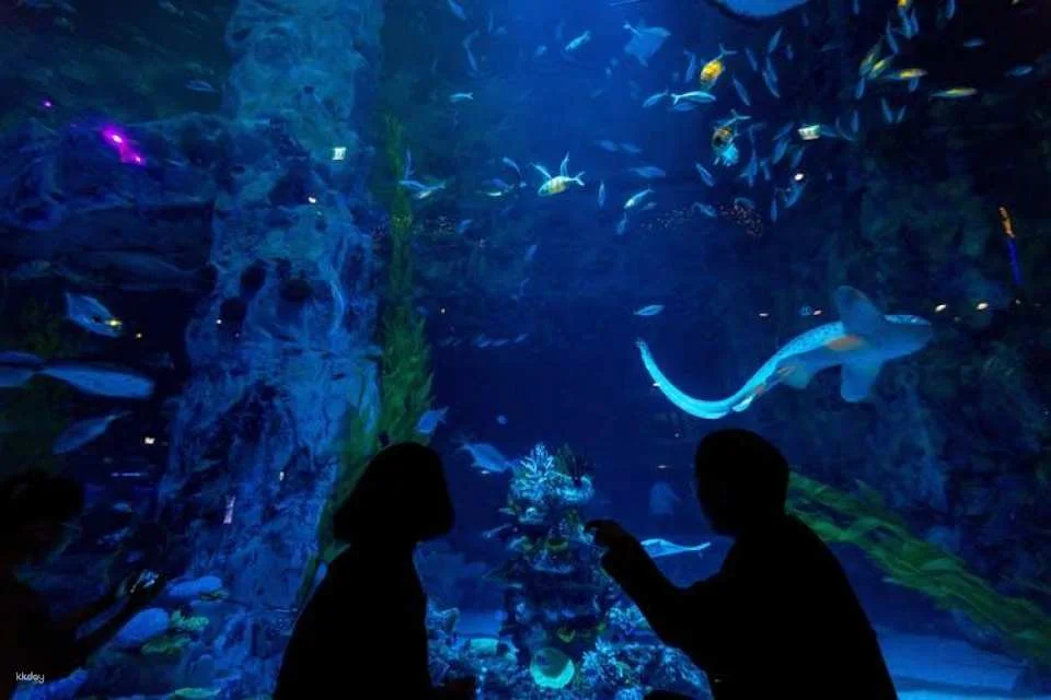 Dubai premium pass with 5 attractions and audio guide