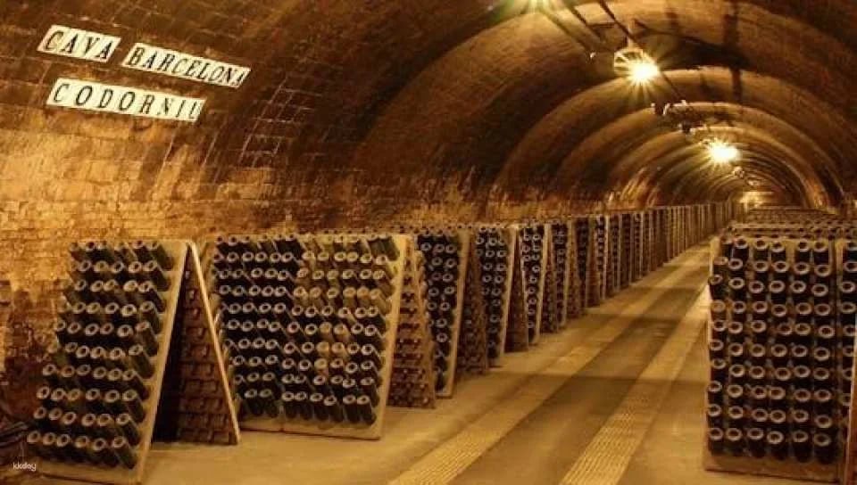 Casa Codorníu guided tour with 2 cava tasting and lunch