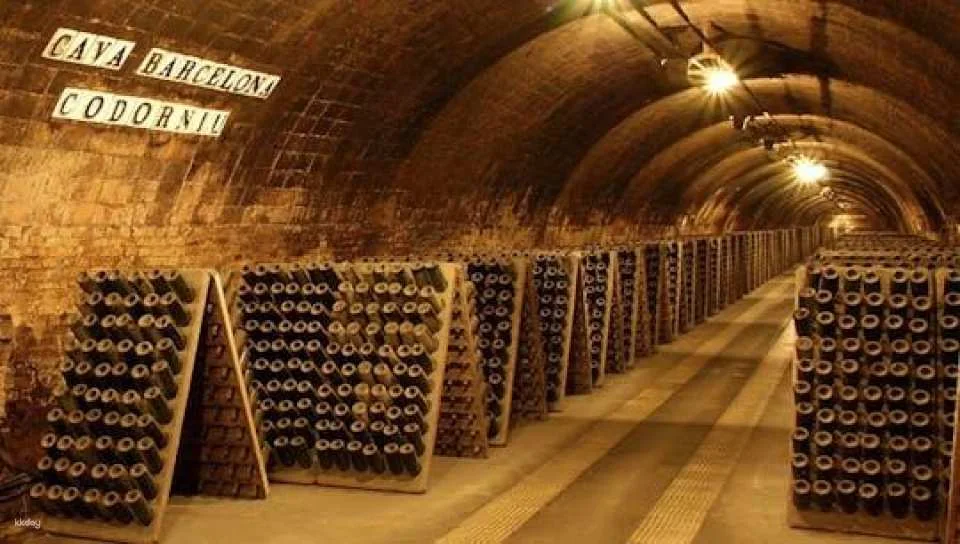 Casa Codorníu guided tour with 2 cava tasting and lunch