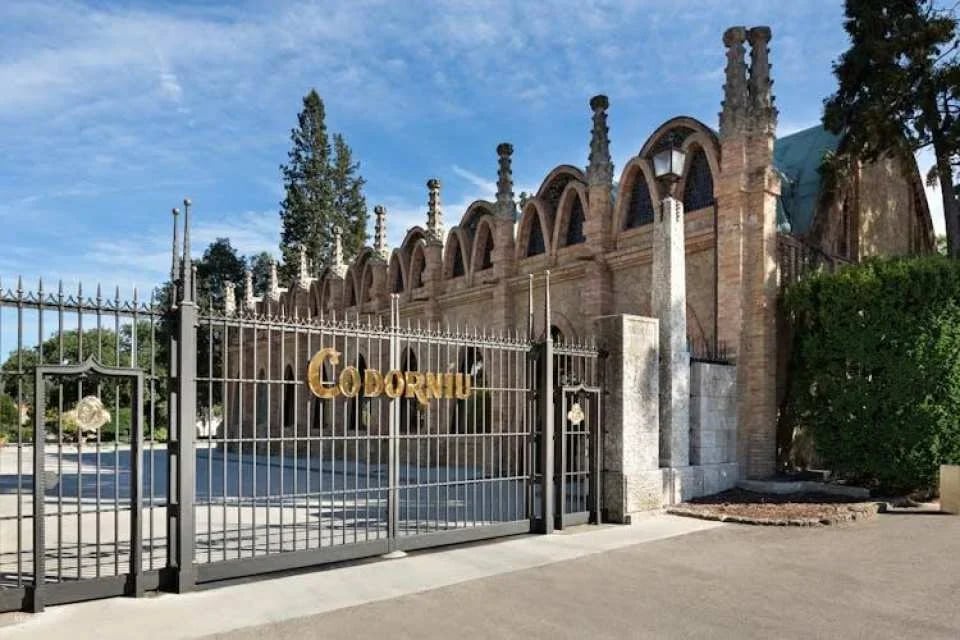 Casa Codorníu guided tour with 2 cava tasting and lunch