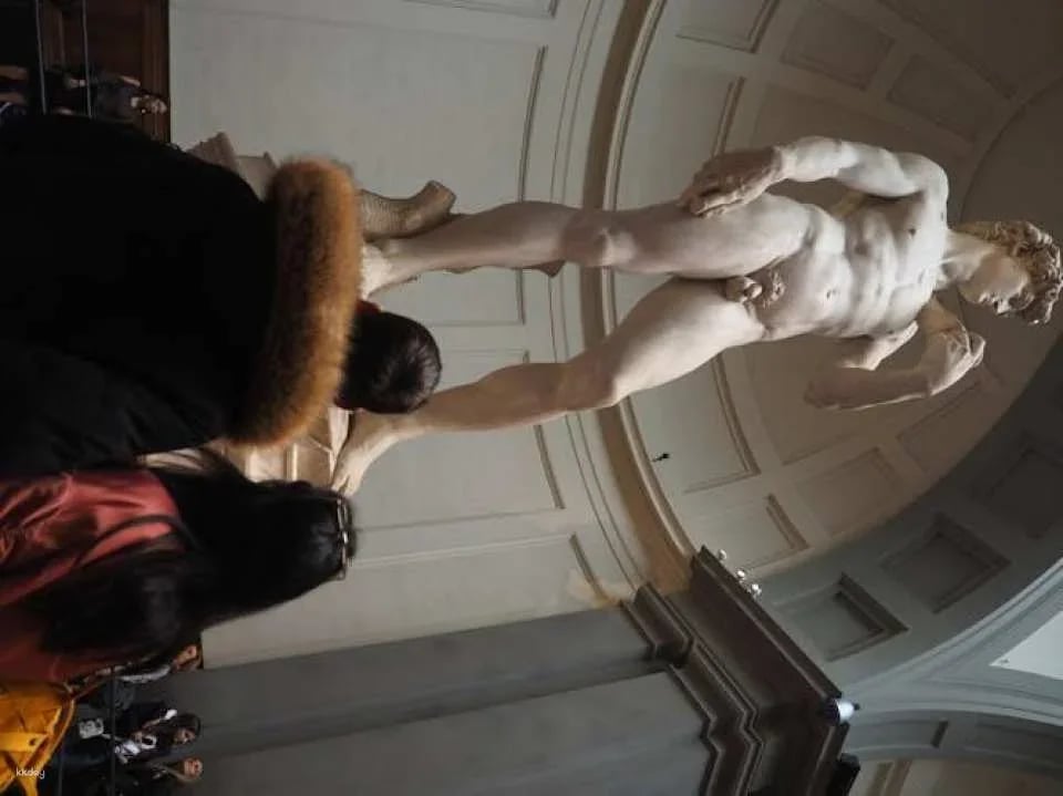 Accademia Gallery entrance ticket with audio app
