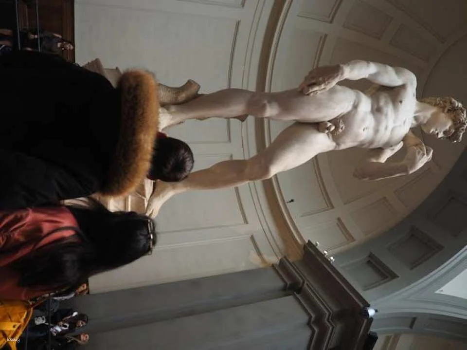 Accademia Gallery entrance ticket with audio app